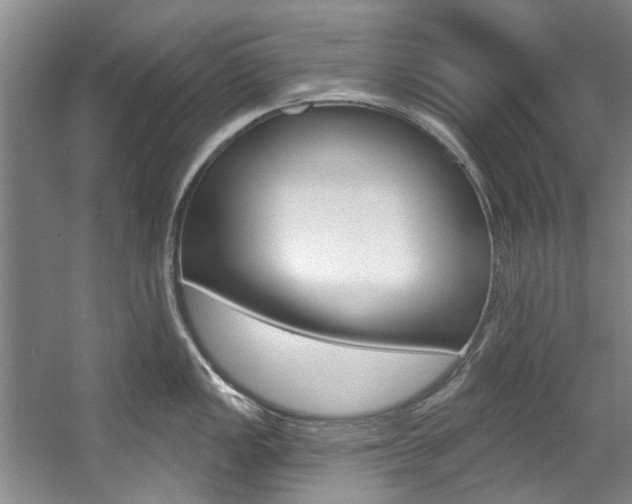 X0000057571149200509160830