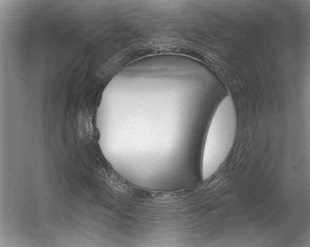 X0000057571155200509160829