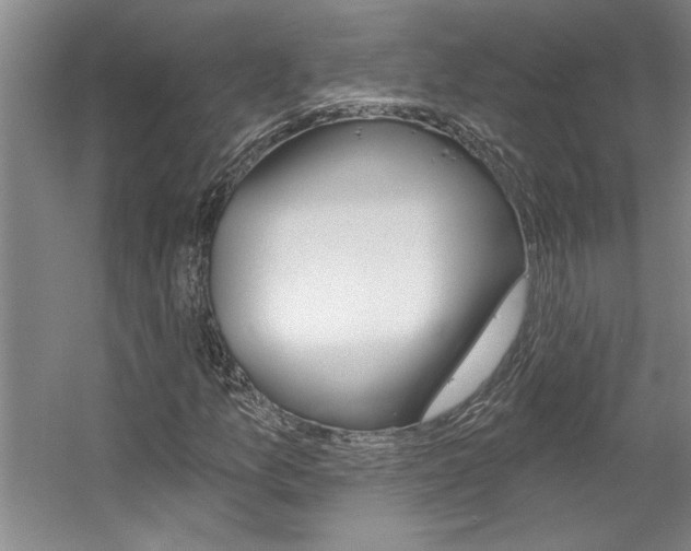 X0000057571157200509160829
