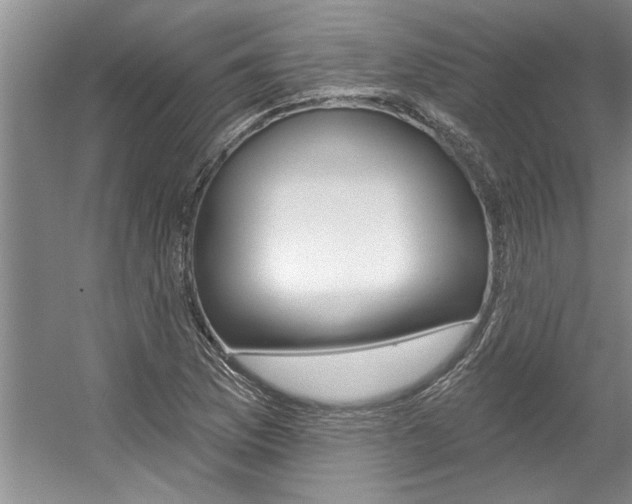 X0000057571169200509160829
