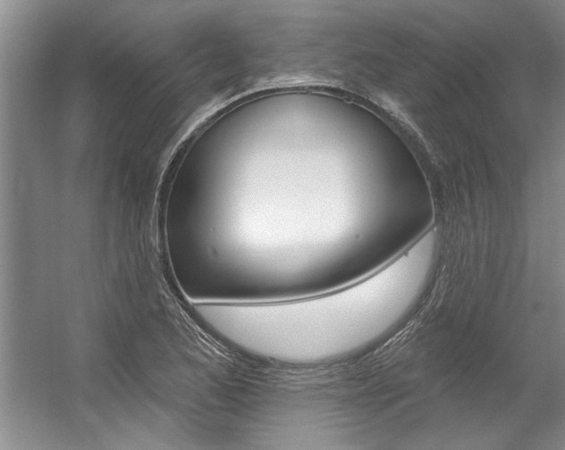 X0000057571173200509160829