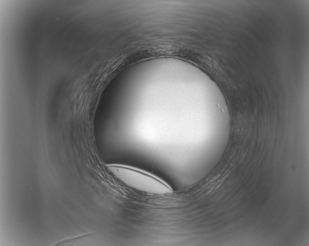 X0000057571201200509160827