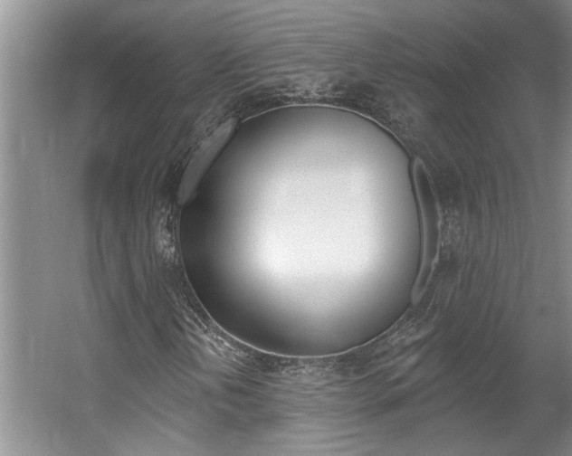 X0000057571202200509160827