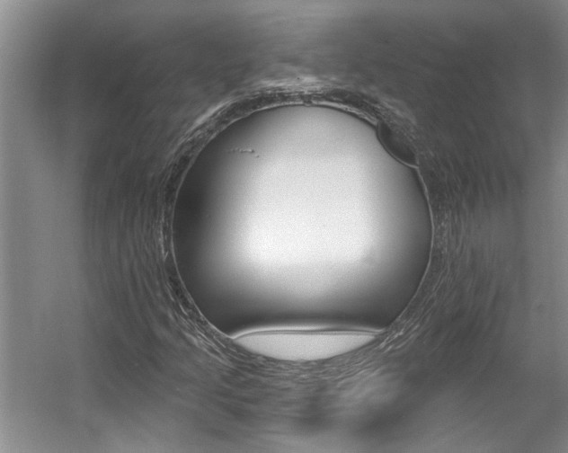 X0000057571205200509160827