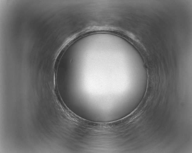 X0000057571221200509160828