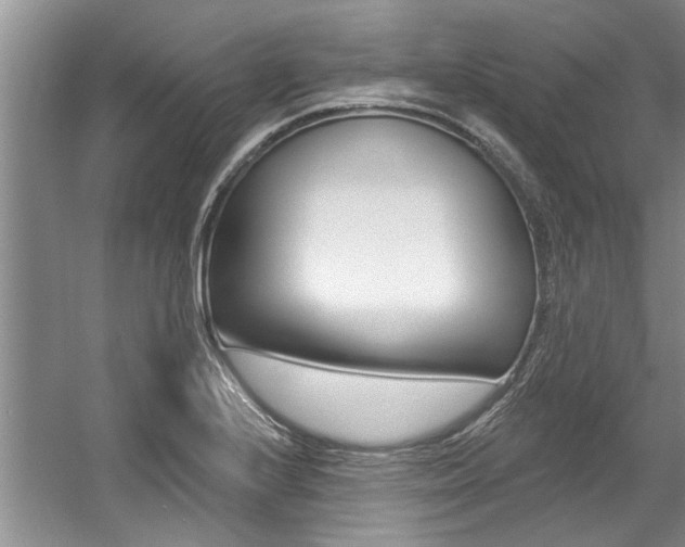 X0000057571224200509160828