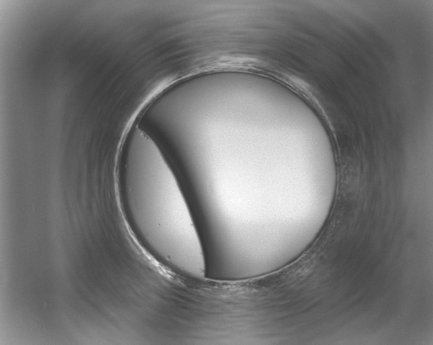 X0000057571235200509160828