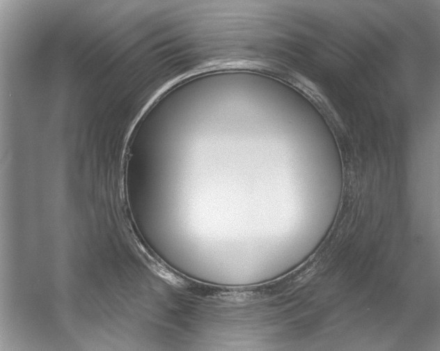 X0000057571236200509160828