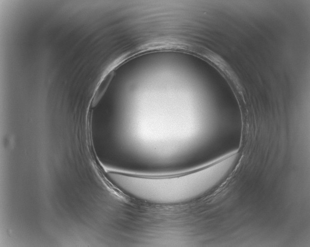 X0000057571242200509160828