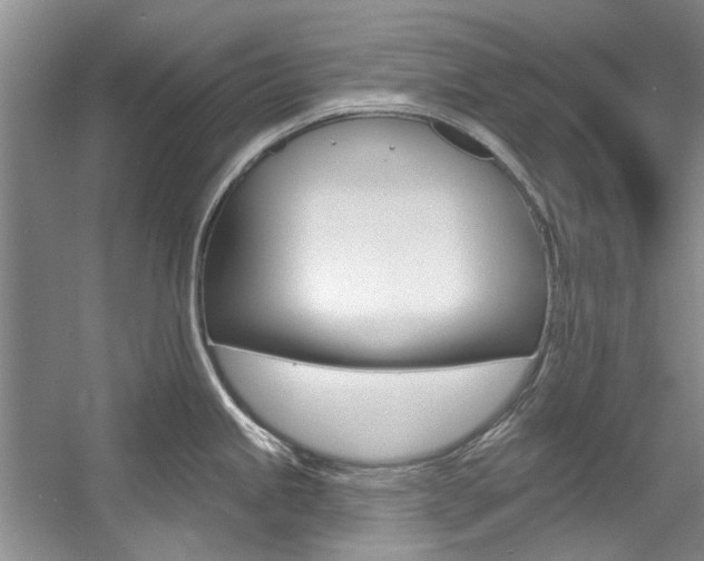 X0000057571245200509160828
