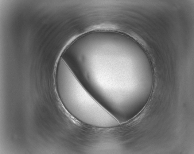 X0000057571248200509160828