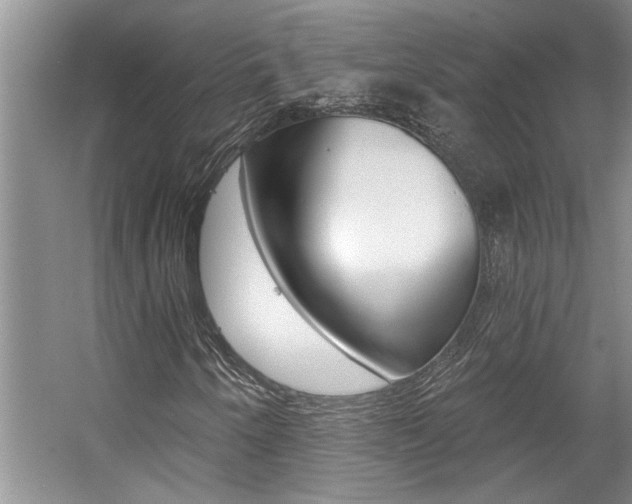 X0000057571250200509160827