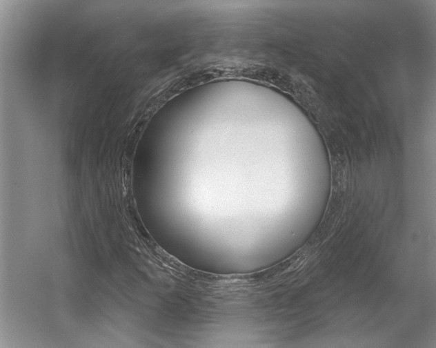 X0000057571253200509160827