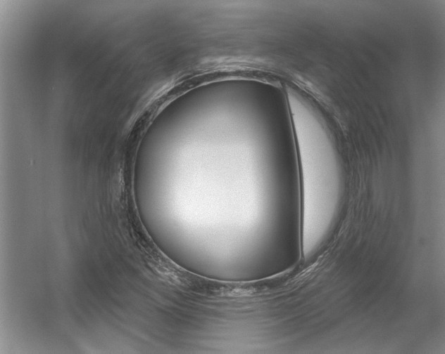 X0000057571261200509160827