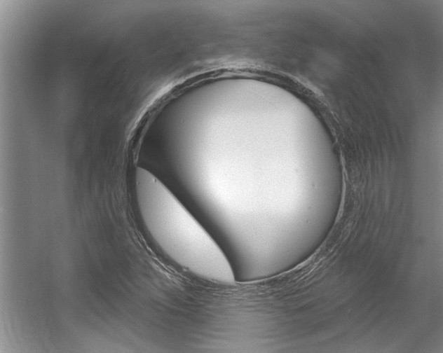 X0000057571263200509160827