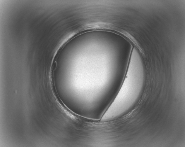 X0000057571285200509160827