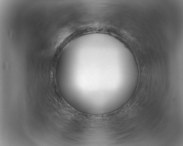 X0000057571302200509160826