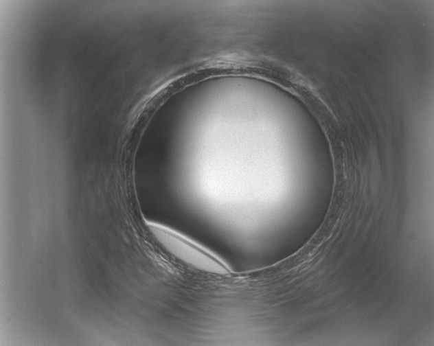 X0000057571304200509160826