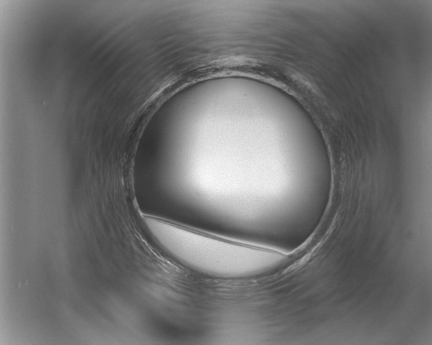 X0000057571305200509160826