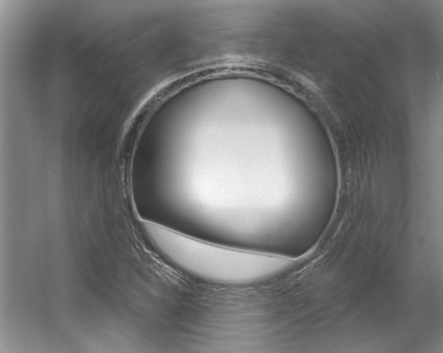 X0000057571310200509160826