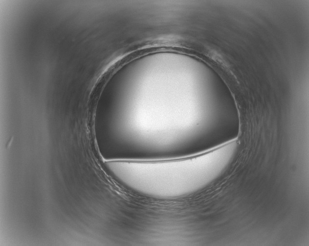 X0000057571312200509160826