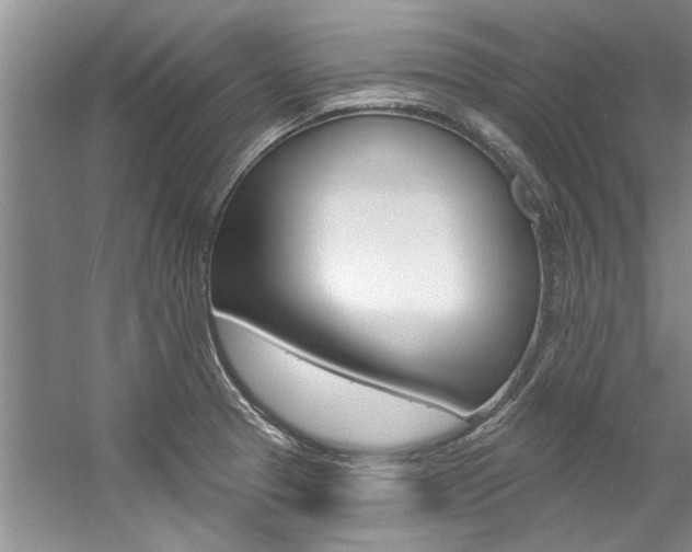 X0000057571329200509160826