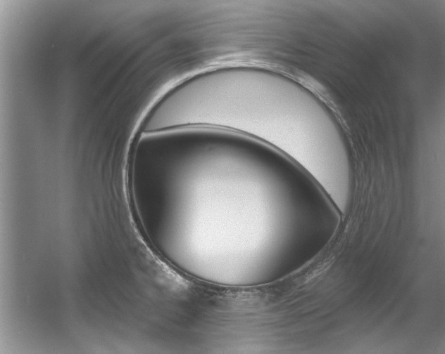 X0000057571334200509160826