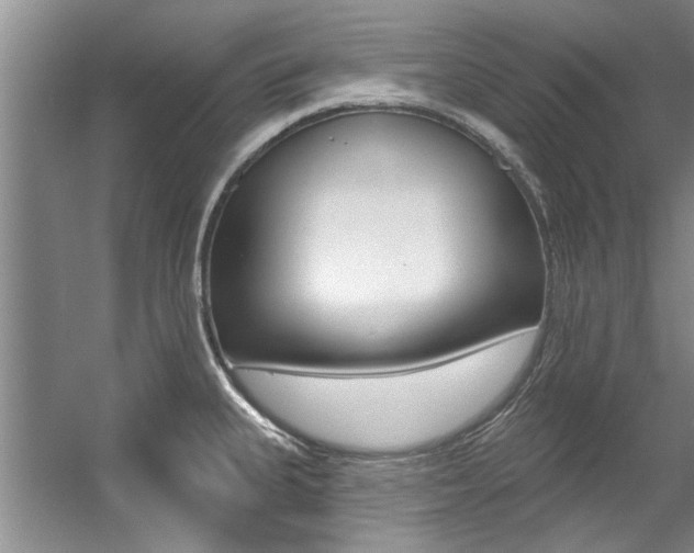 X0000057571335200509160826