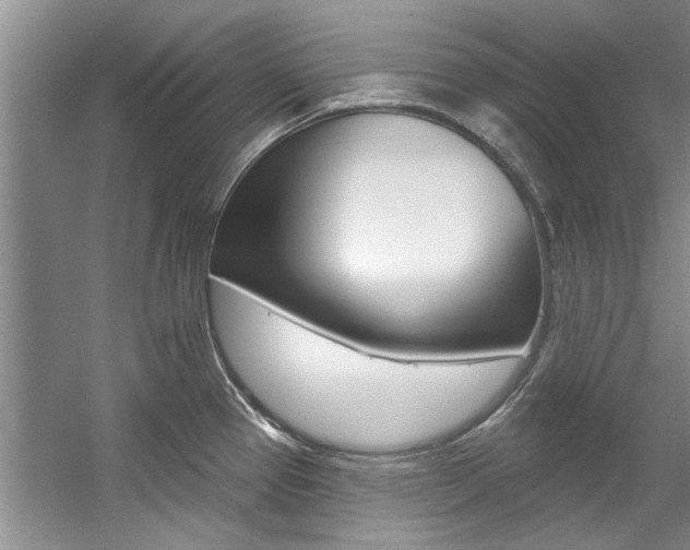 X0000057571337200509160826