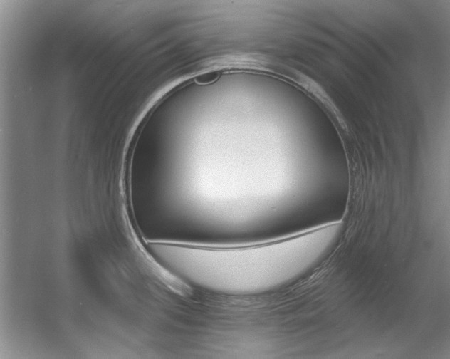 X0000057571339200509160826