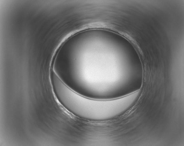 X0000057571342200509160826