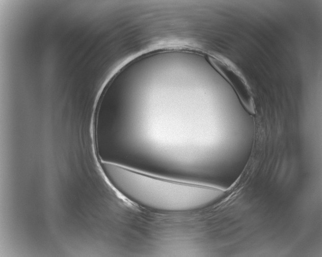 X0000057571343200509160826