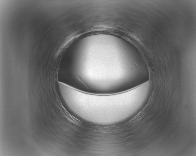 X0000057571355200509160825