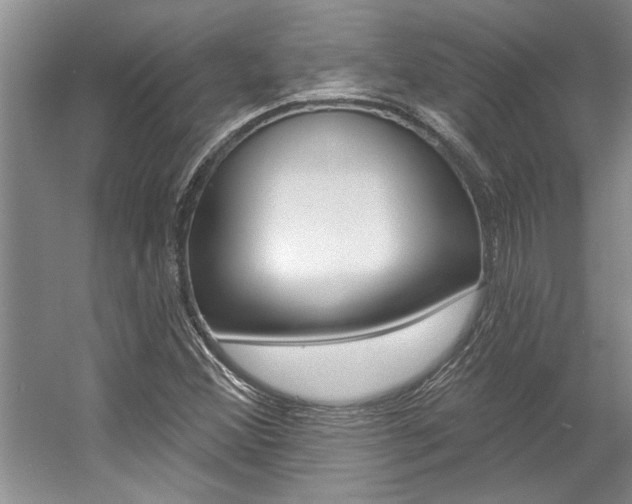 X0000057571356200509160825