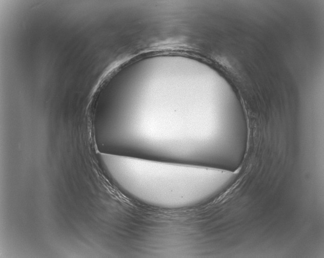 X0000057571358200509160825