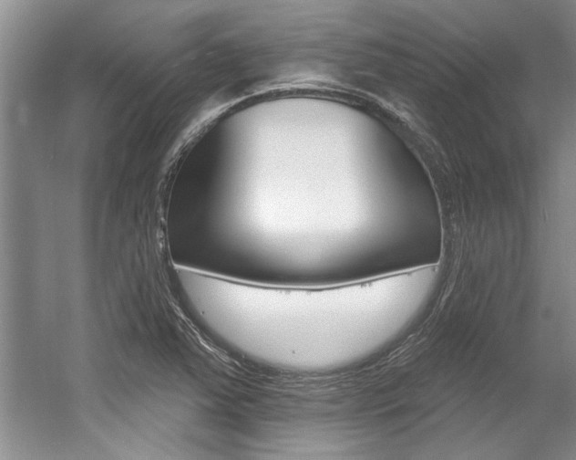 X0000057571363200509160825