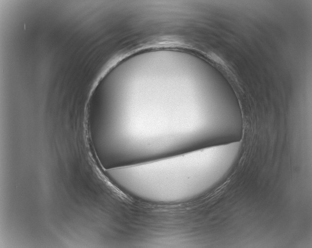 X0000057571374200509160825