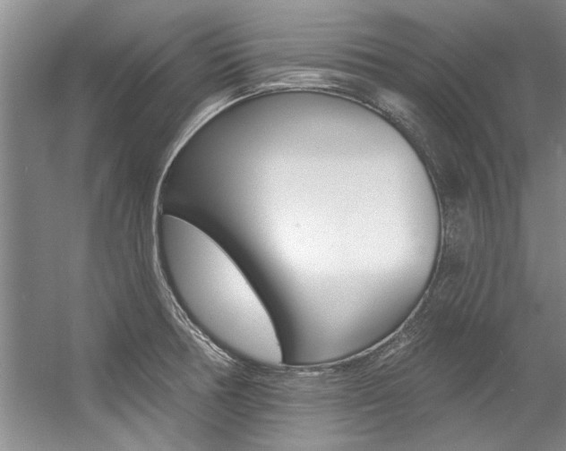 X0000057571378200509160825