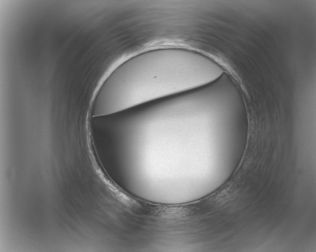 X0000057571382200509160825