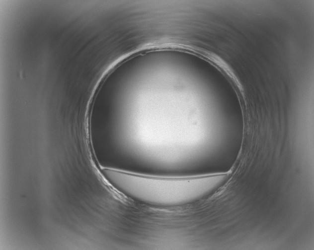 X0000057571388200509160825