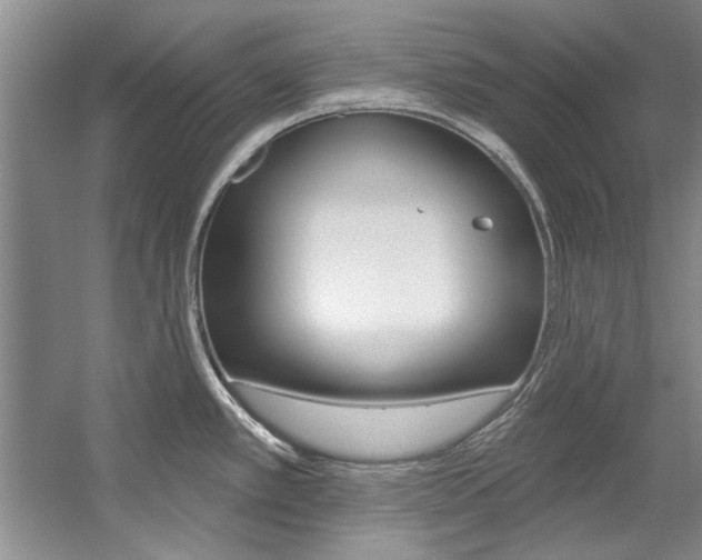 X0000057571389200509160825