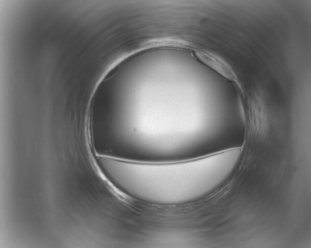 X0000057571391200509160825