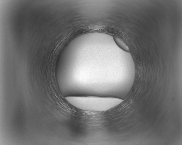 X0000057571393200509160824