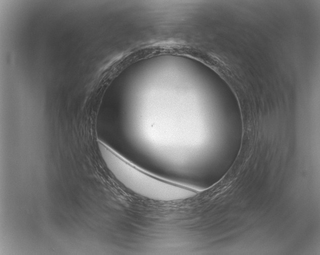 X0000057571398200509160824
