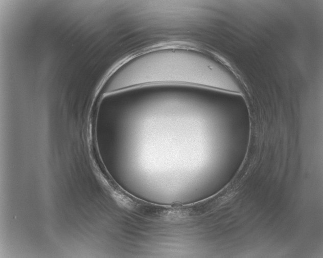 X0000057571418200509160824