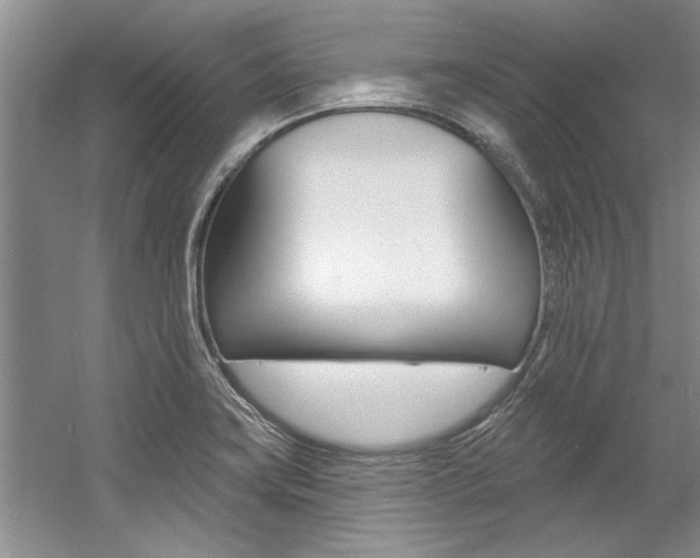 X0000057571419200509160824