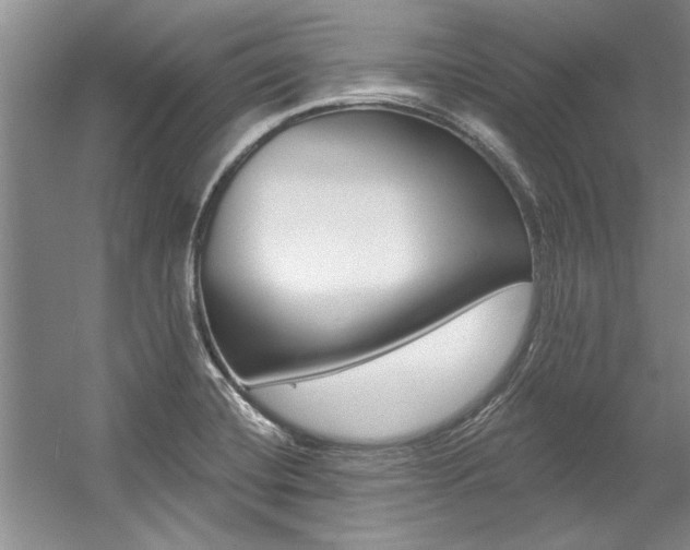 X0000057571420200509160824