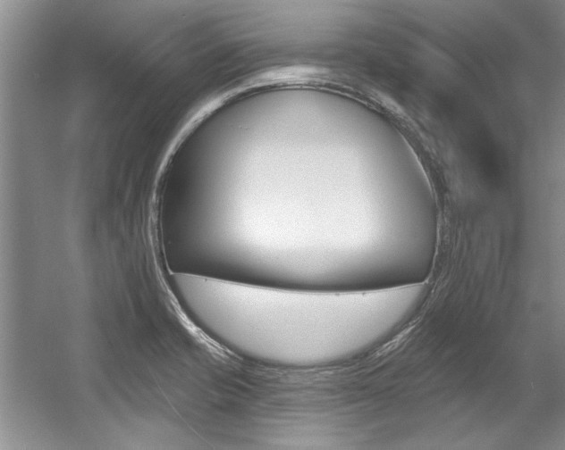X0000057571421200509160824