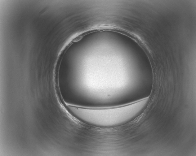 X0000057571422200509160824