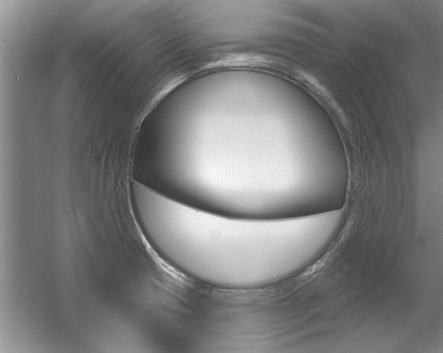 X0000057571425200509160825